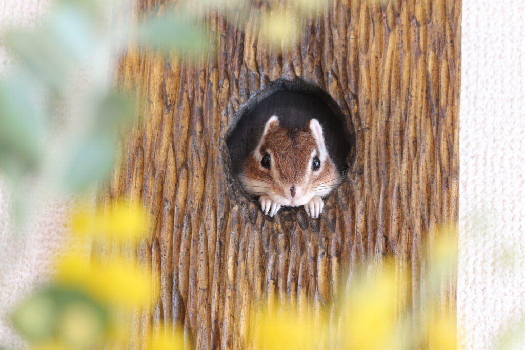 coto coto felt works